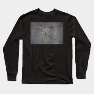 Moss on a Branch Long Sleeve T-Shirt